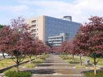 2007102510.jpg