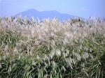 20071025029.jpg