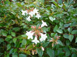 2007102503.jpg