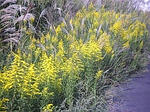20071025030.jpg