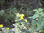 20071025026.jpg