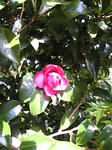 20071025025.jpg
