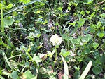 20071025028.jpg