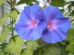 20071025023.jpg