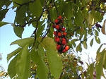 20071025021.jpg