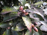 20071025024.jpg