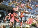20071025031.jpg
