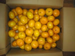 2007110301.jpg