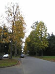 2007110401.jpg