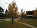 2007110403.jpg
