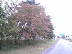 2007110404.jpg