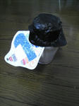 2007110603.jpg