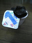 2007110604.jpg