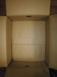 2007111401.jpg