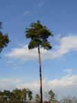 2007112103.jpg