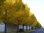 2007112104.jpg