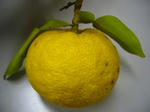 2007112701.jpg