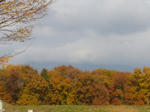 2007113001.jpg
