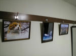2007121102.jpg