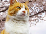 2007121104.jpg