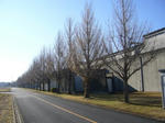 2007121403.jpg