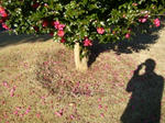 2007121404.jpg