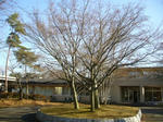 2007121405.jpg