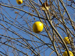 2007121408.jpg