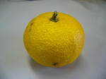 2007121409.jpg