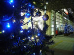 2007121605.jpg