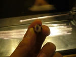 2007122512.jpg