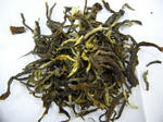 le_2007caDIANA01.jpg
