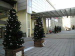 20080113.jpg