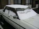2008020201.jpg