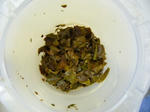 le_2007GOO5403.jpg
