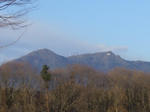 2008021302.jpg