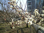 2008022501.jpg