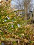 2008030301.jpg
