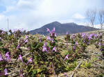 2008030501.jpg