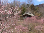 2008031301.jpg