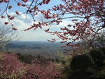 2008031303.jpg