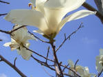 2008032704.jpg