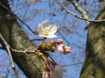 2008032601.jpg