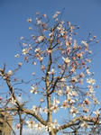 2008032801.jpg