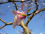 2008032802.jpg