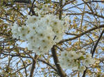2008032803.jpg
