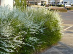 2008032806.jpg