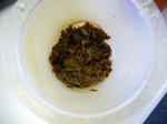 gc_2007nah698_03.jpg
