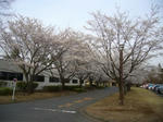 2008040301.jpg