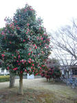 2008040303.jpg
